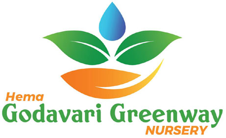 Hema Godavari Greenway Nursery Kadiyam,India.